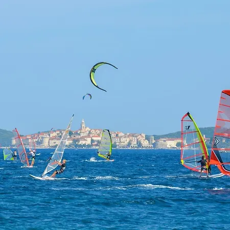 Jane Perna * Kuciste